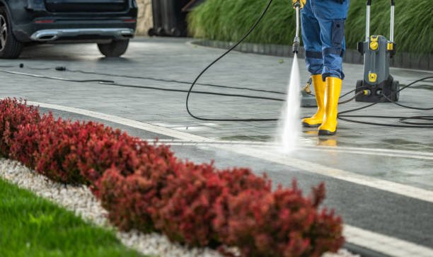 Best Roof Pressure Washing  in Bartlett, IL