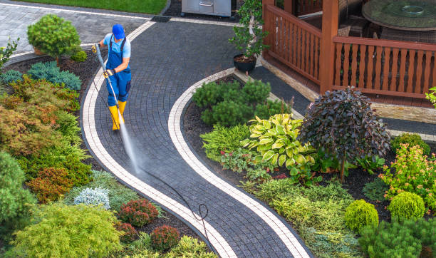 Best Pressure Washing Company Near Me  in Bartlett, IL